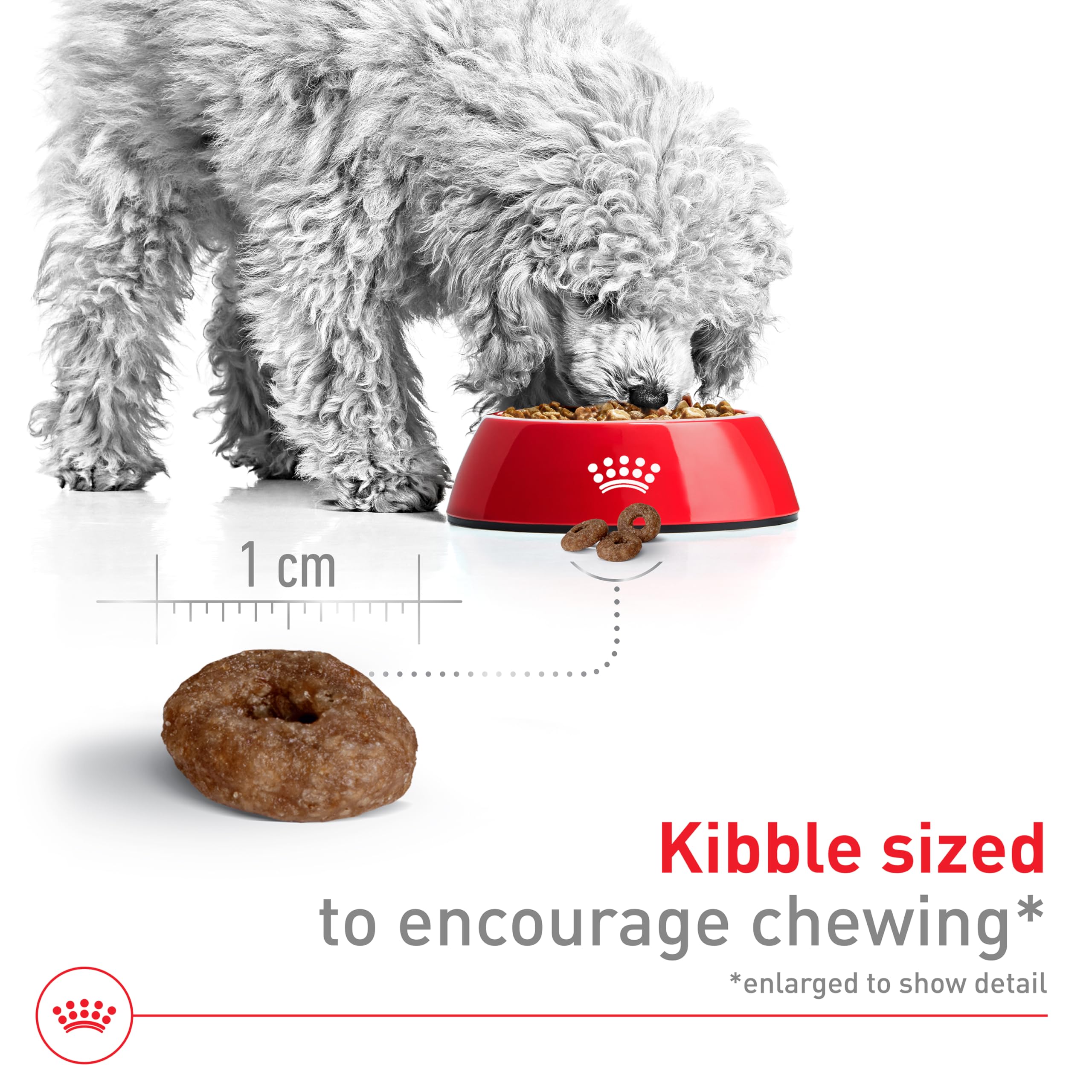 Foto 4 pulgar | Alimento Seco Para Perros Royal Canin Small Aging 12+ 1.13 Kg - Venta Internacional.
