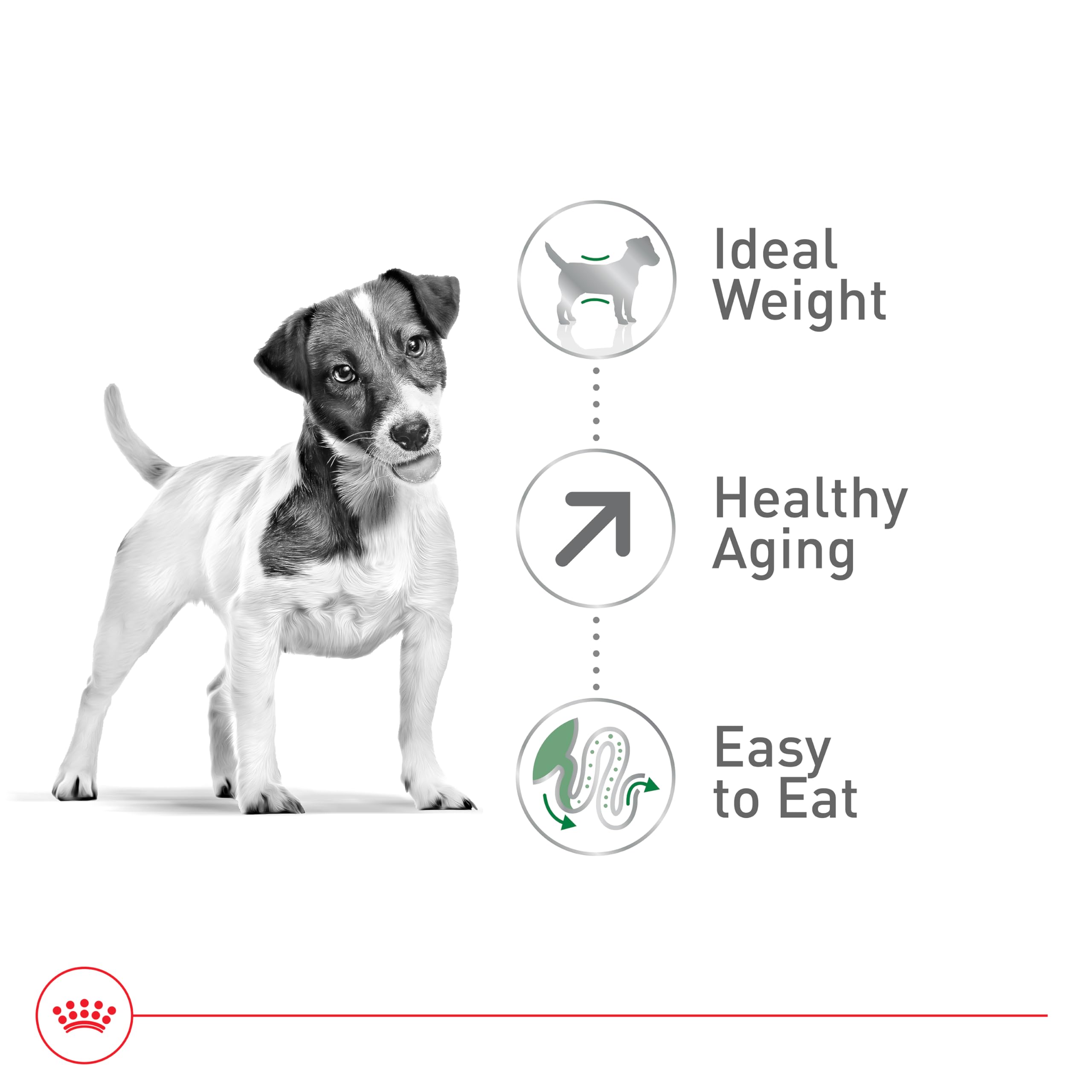 Foto 5 pulgar | Alimento Seco Para Perros Royal Canin Small Aging 12+ 1.13 Kg - Venta Internacional.