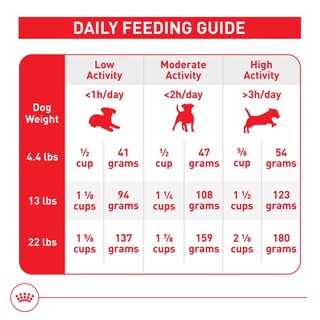 Foto 6 | Alimento Seco Para Perros Royal Canin Small Aging 12+ 1.13 Kg - Venta Internacional.