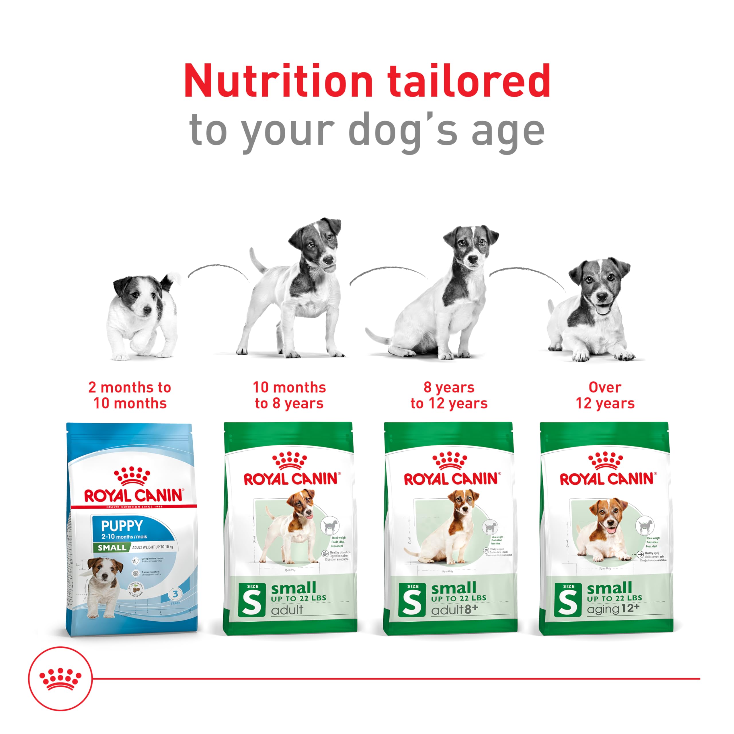 Foto 8 pulgar | Alimento Seco Para Perros Royal Canin Small Aging 12+ 1.13 Kg - Venta Internacional.