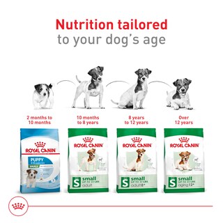 Foto 7 | Alimento Seco Para Perros Royal Canin Small Aging 12+ 1.13 Kg - Venta Internacional.