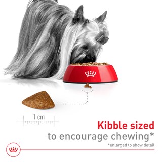 Foto 3 | Alimento Seco Para Perros Royal Canin X-small Aging 12+ Para Perros Mayores - Venta Internacional.