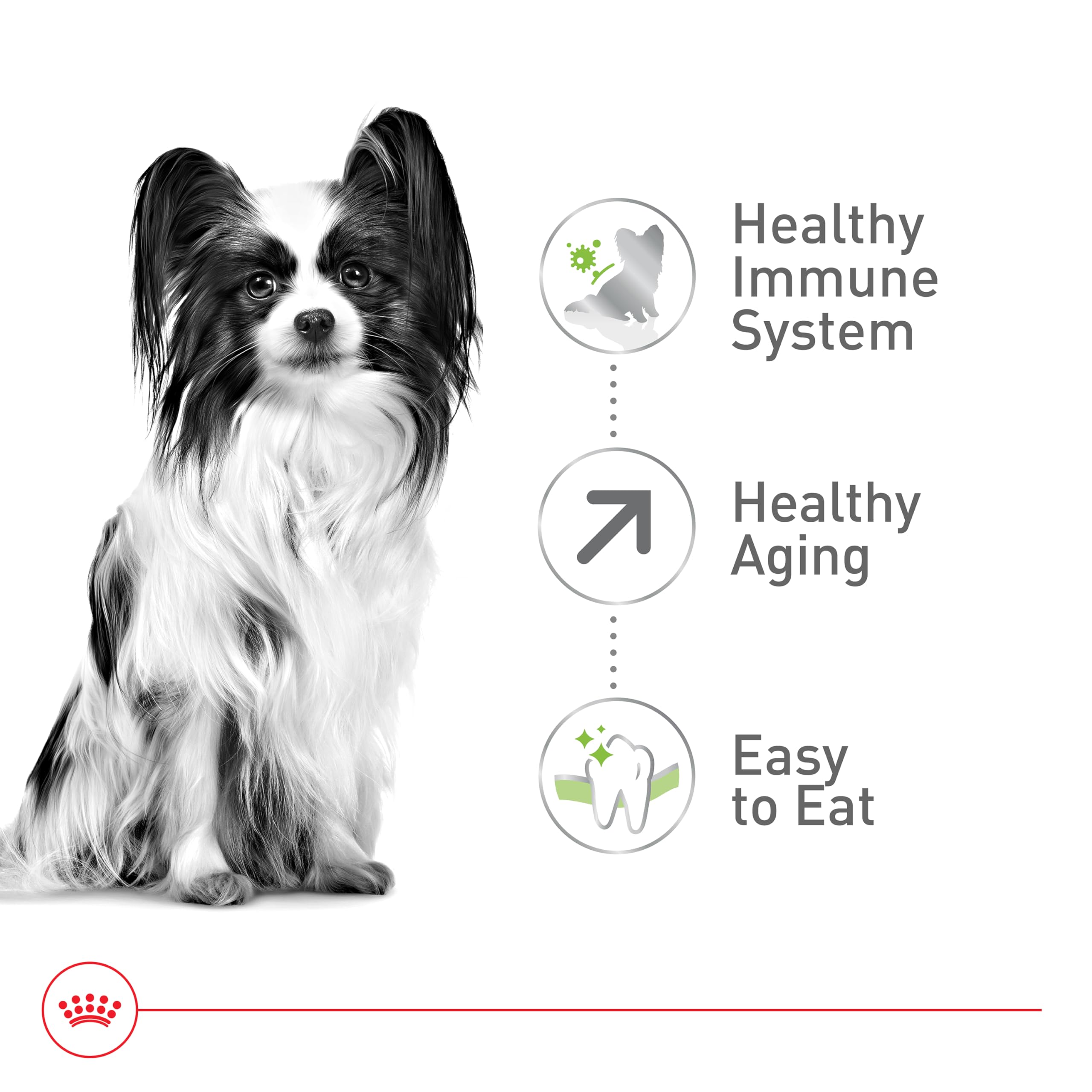 Foto 5 pulgar | Alimento Seco Para Perros Royal Canin X-small Aging 12+ Para Perros Mayores - Venta Internacional.