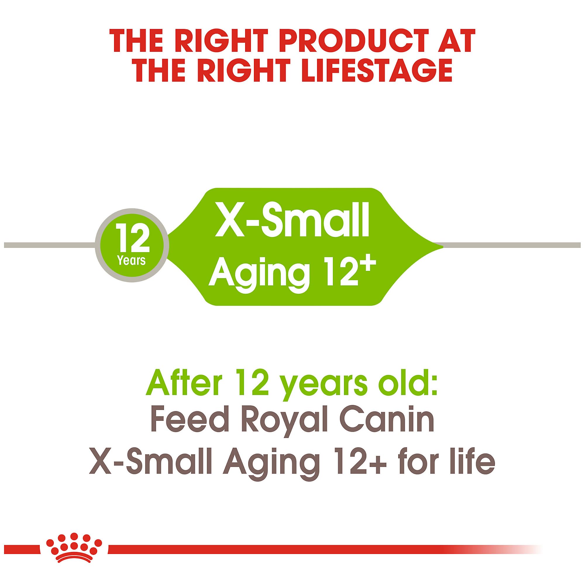 Foto 6 pulgar | Alimento Seco Para Perros Royal Canin X-small Aging 12+ Para Perros Mayores - Venta Internacional.