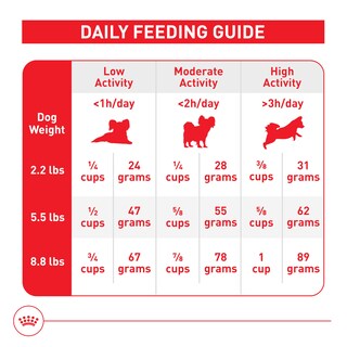 Foto 7 | Alimento Seco Para Perros Royal Canin X-small Aging 12+ Para Perros Mayores - Venta Internacional.