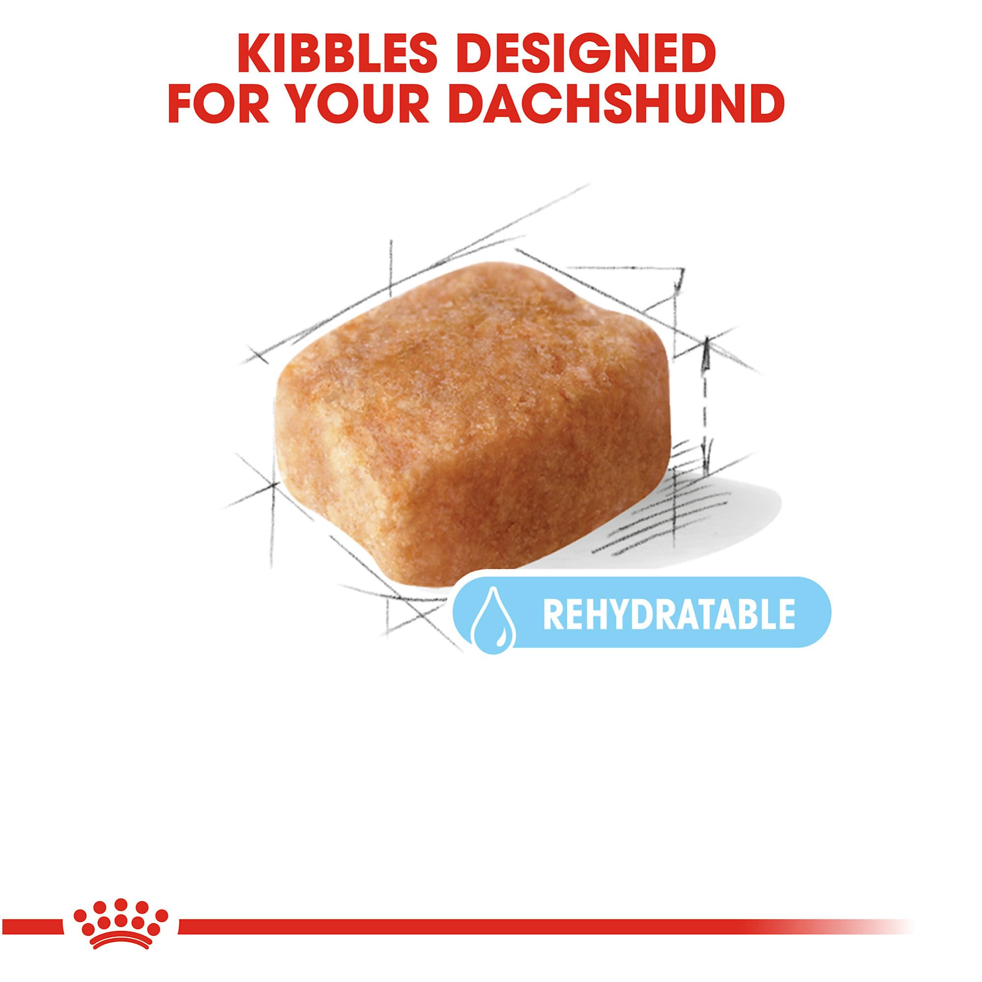 Foto 3 pulgar | Alimento Para Perros Royal Canin Breed Health Nutrition Dachshund 8+ 1,36 Kg - Venta Internacional.