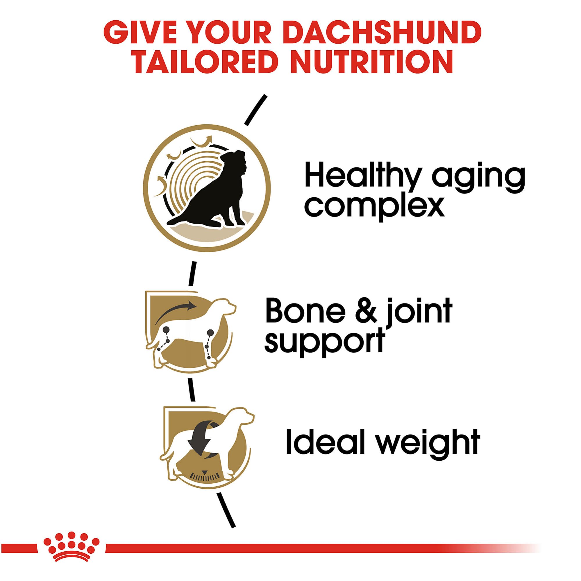 Foto 3 | Alimento Para Perros Royal Canin Breed Health Nutrition Dachshund 8+ 1,36 Kg - Venta Internacional.