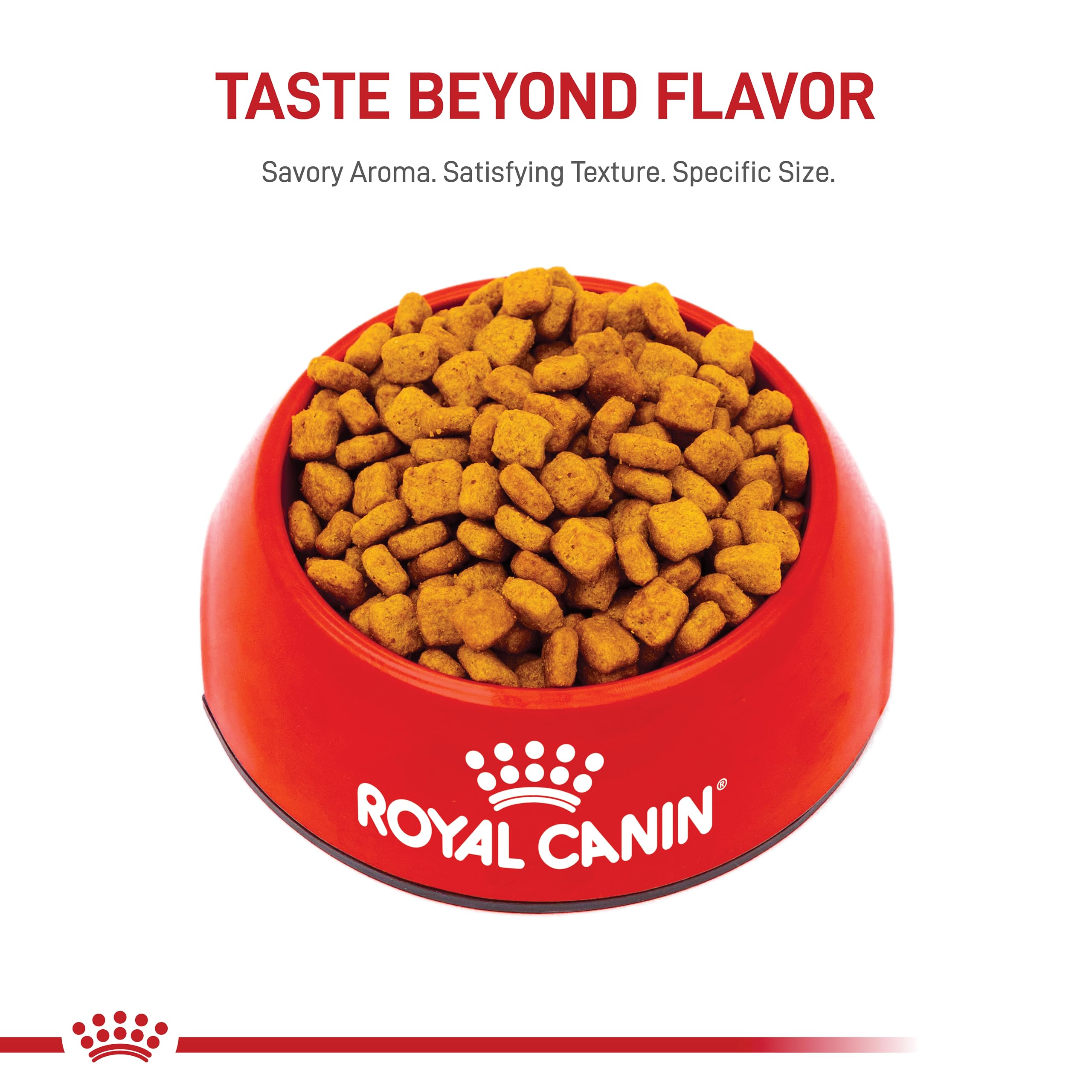 Foto 8 pulgar | Alimento Para Perros Royal Canin Breed Health Nutrition Dachshund 8+ 1,36 Kg - Venta Internacional.