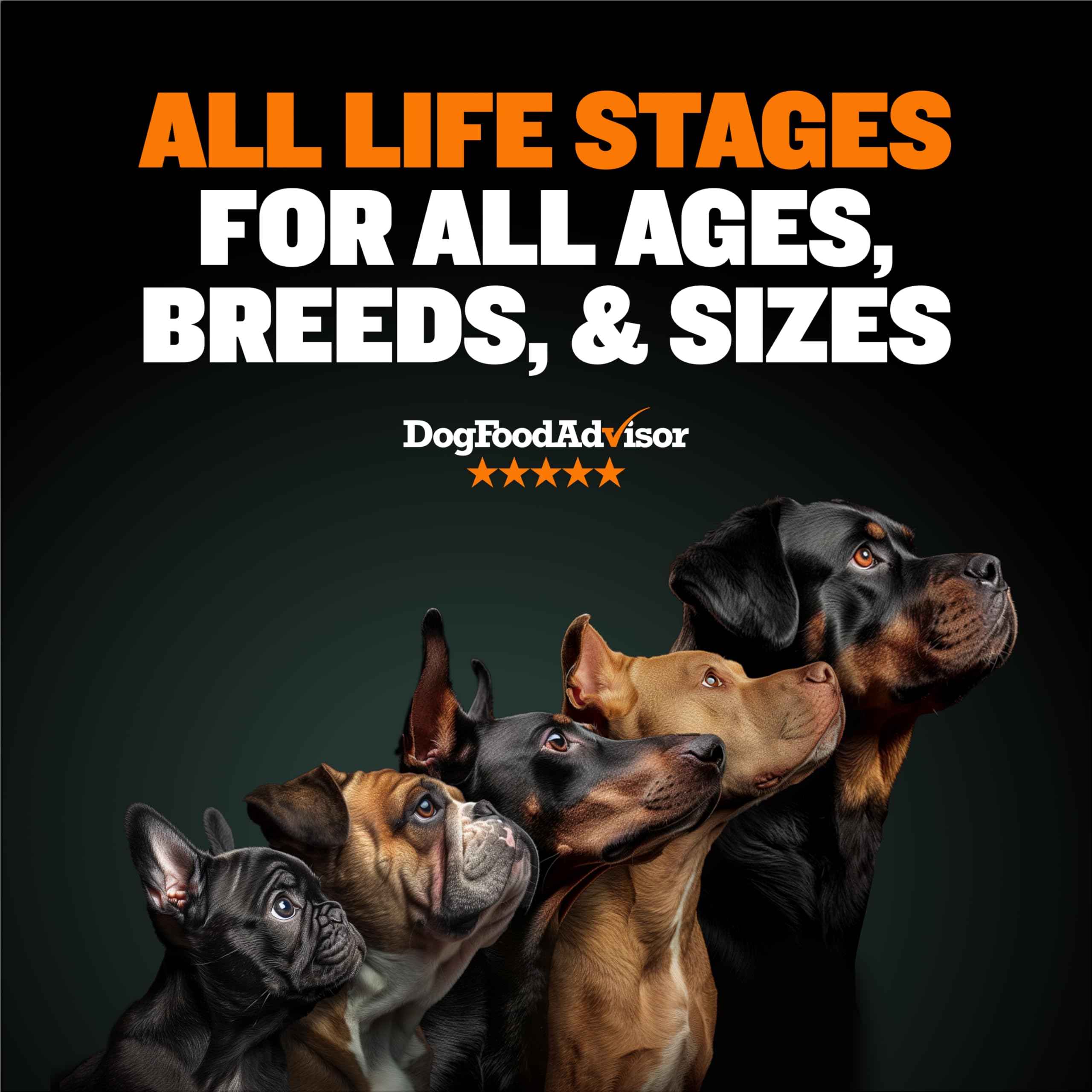 Foto 4 pulgar | Comida Para Perros Bully Max High Performance, 6,8 Kg O Más, Cubierta Liofilizada - Venta Internacional.