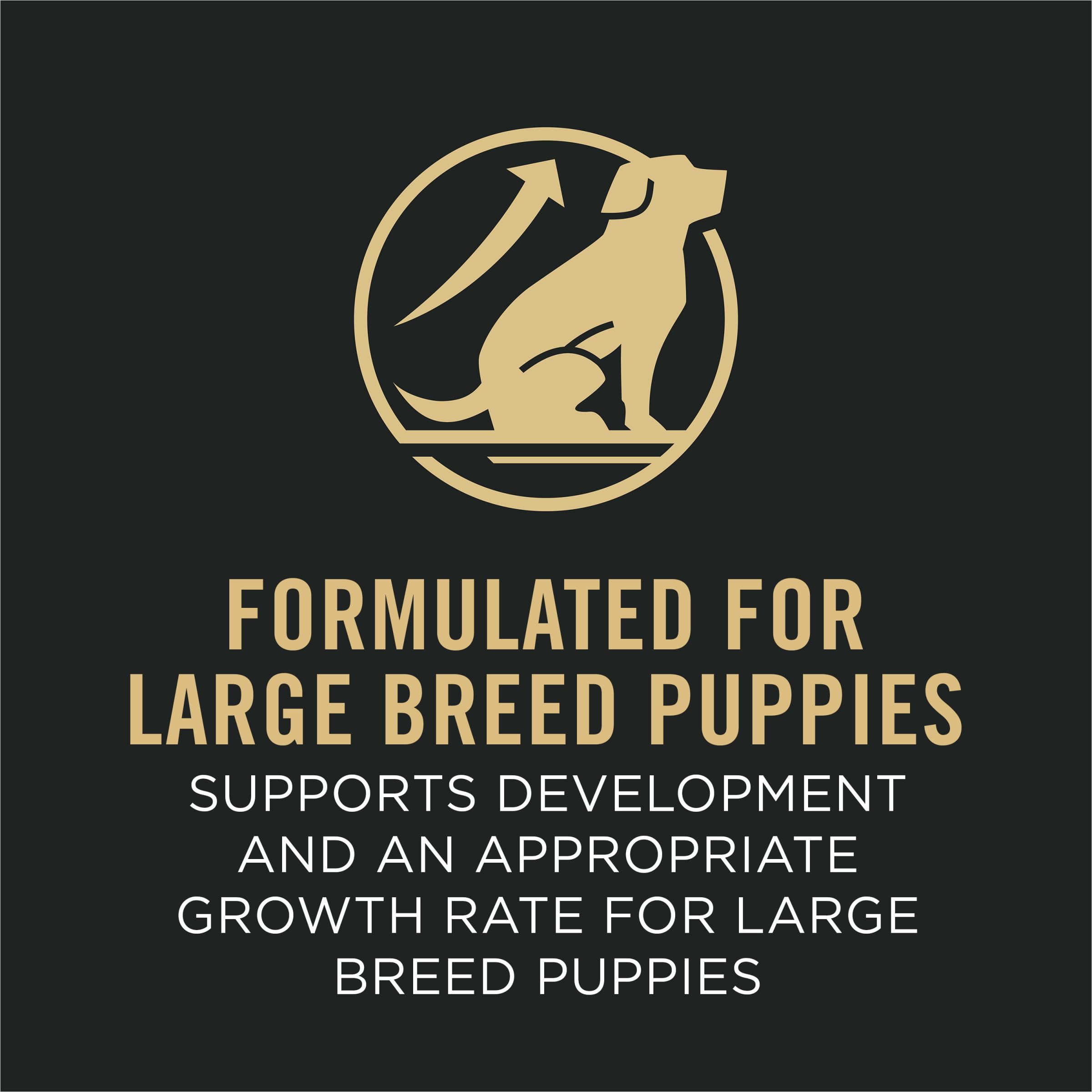 Foto 3 pulgar | Alimento Para Perros Purina Pro Plan Con Alto Contenido De Proteínas Para Cachorros De Raza Grande, 8 Kg - Venta