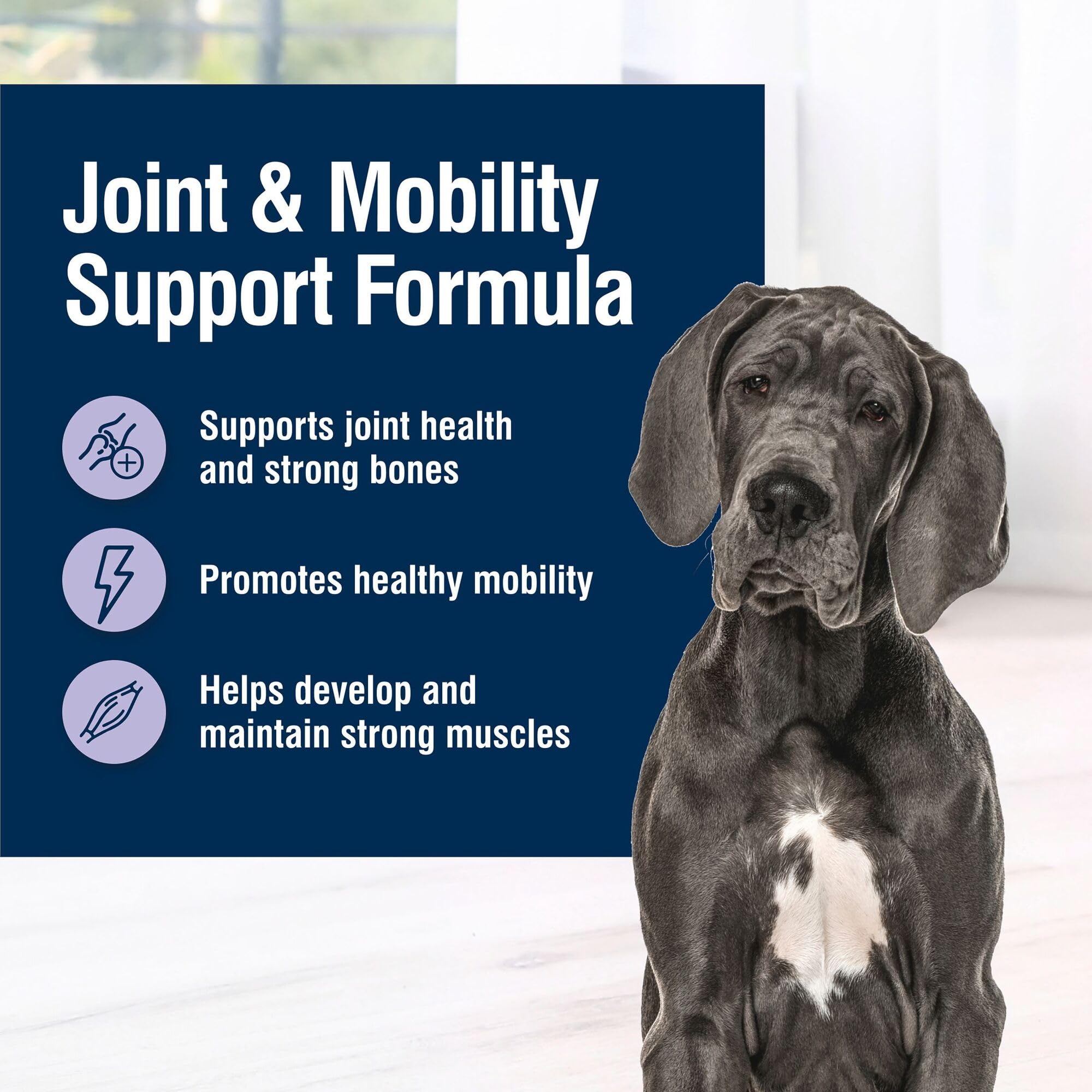 Foto 5 pulgar | Alimento Húmedo Para Perros Blue Buffalo True Solutions Mobility Care 375 Ml - Venta Internacional.