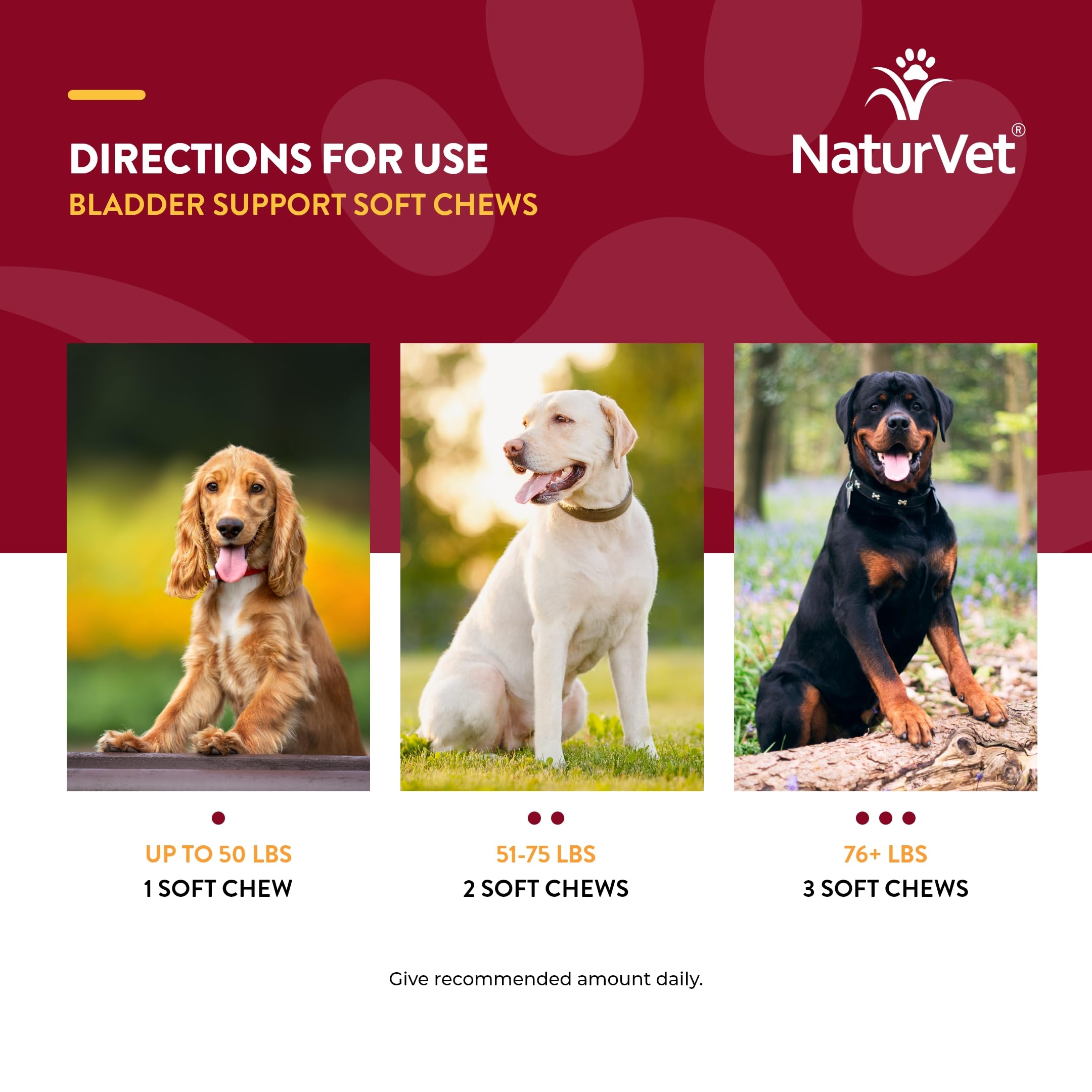 Foto 8 pulgar | Suplemento Naturvet Bladder Support Plus Cranberry Para Perros - Venta Internacional.