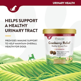 Foto 3 | Suplemento Naturvet Cranberry Relief + Echinacea Para Perros - Venta Internacional.