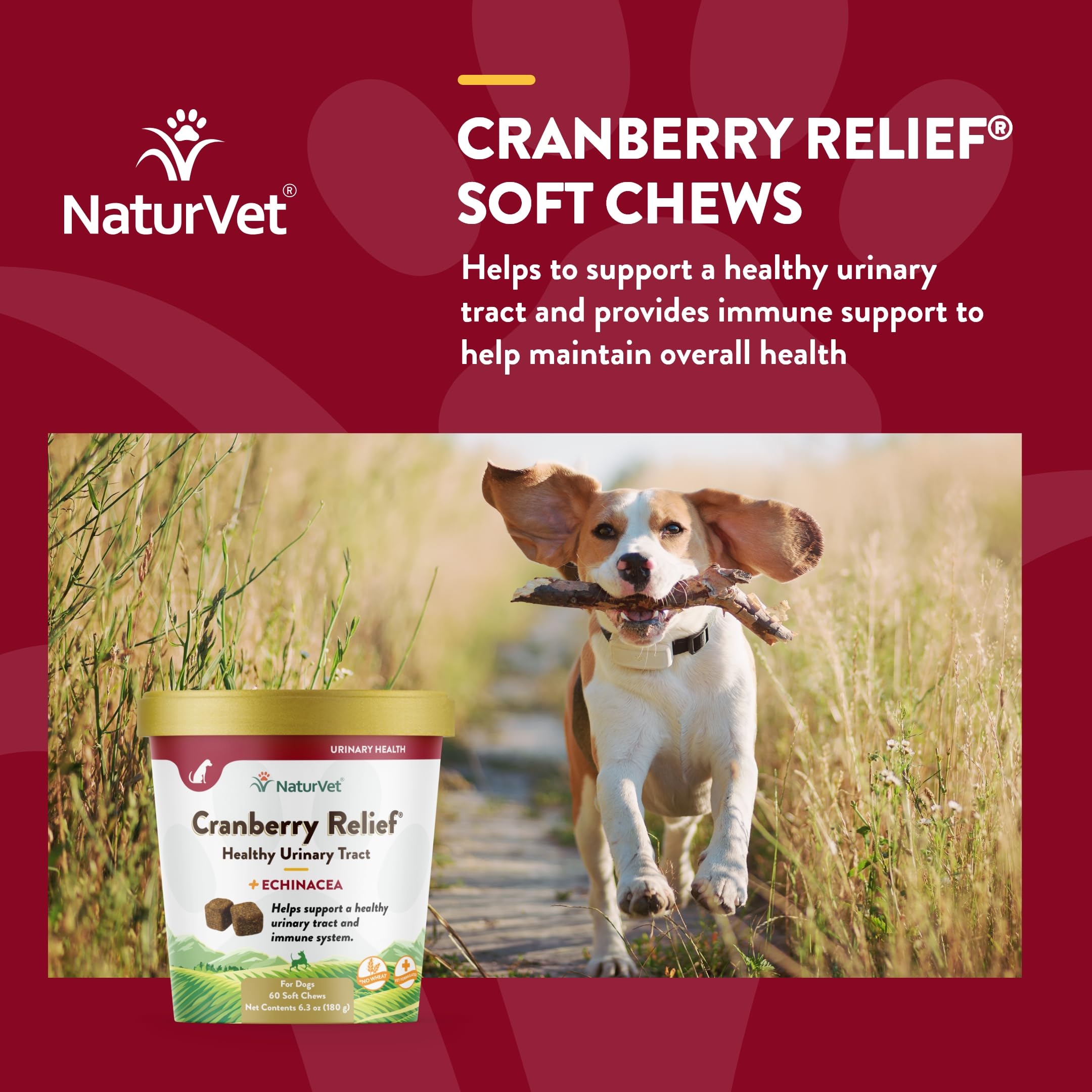 Foto 5 pulgar | Suplemento Naturvet Cranberry Relief + Echinacea Para Perros - Venta Internacional.