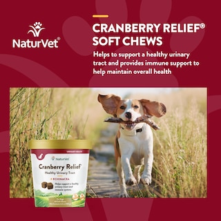 Foto 4 | Suplemento Naturvet Cranberry Relief + Echinacea Para Perros - Venta Internacional.