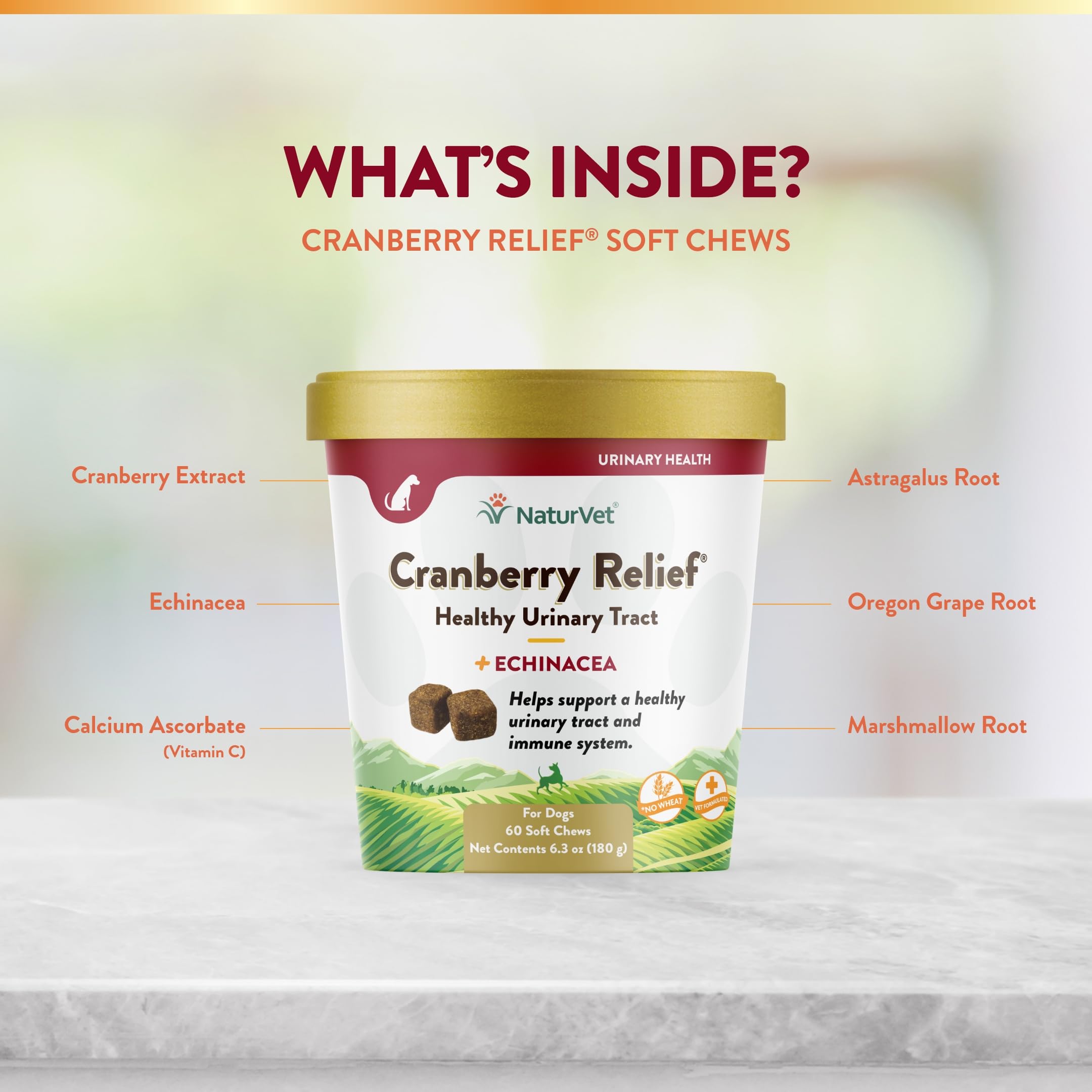 Foto 5 | Suplemento Naturvet Cranberry Relief + Echinacea Para Perros - Venta Internacional.