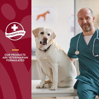 Foto 6 | Suplemento Naturvet Cranberry Relief + Echinacea Para Perros - Venta Internacional.