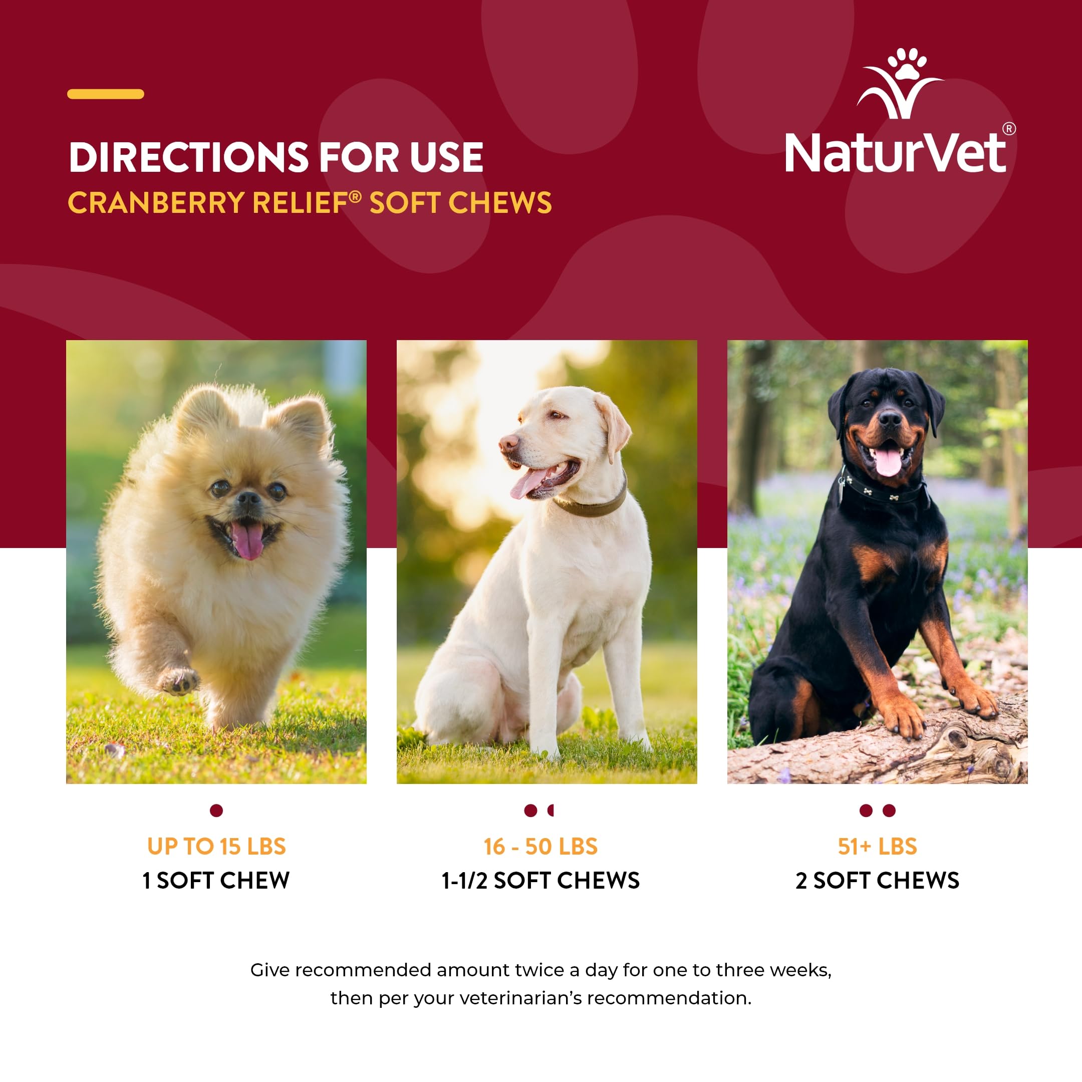 Foto 8 pulgar | Suplemento Naturvet Cranberry Relief + Echinacea Para Perros - Venta Internacional.