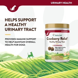 Foto 3 | Suplemento Naturvet Cranberry Relief + Echinacea Para Perros - Venta Internacional.