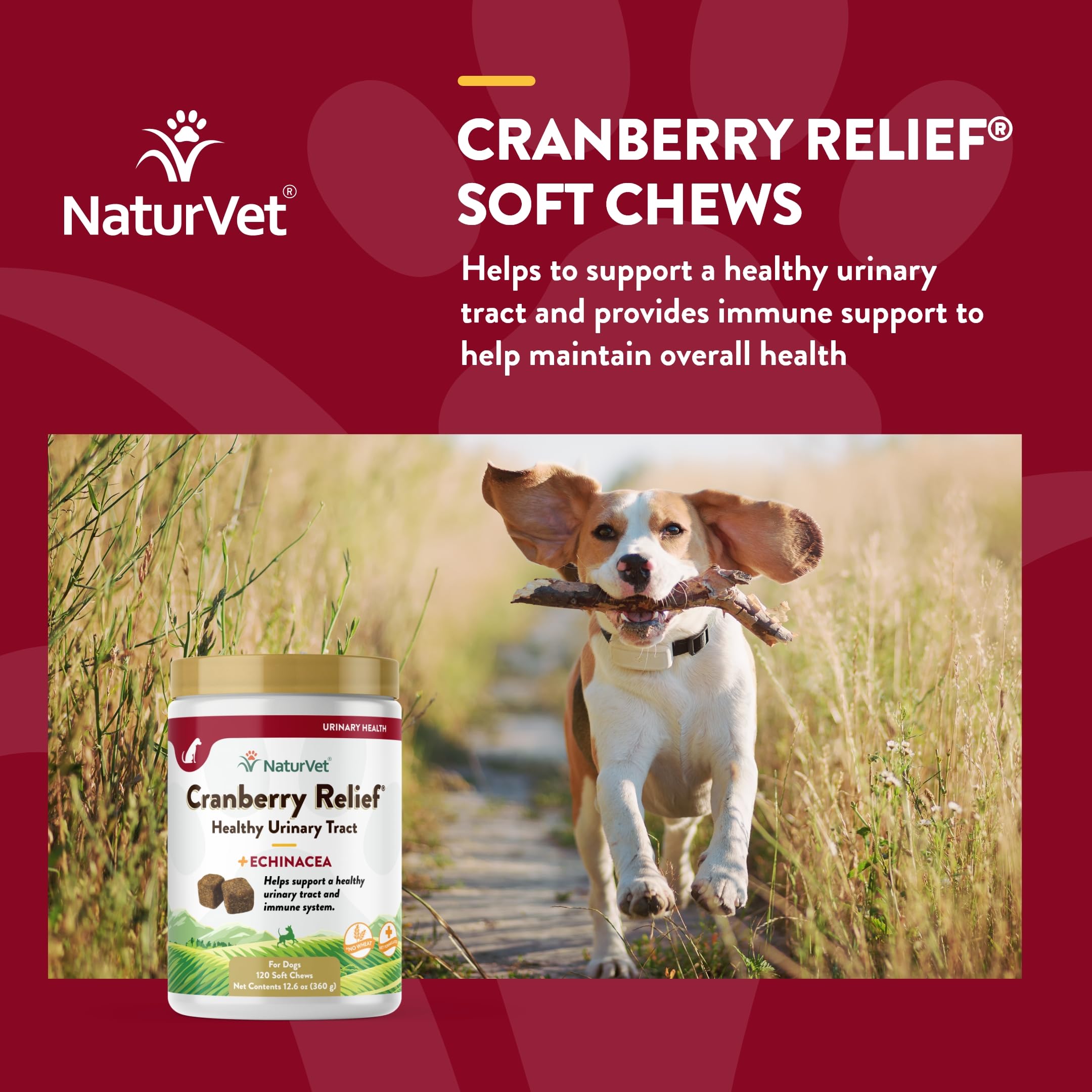 Foto 5 pulgar | Suplemento Naturvet Cranberry Relief + Echinacea Para Perros - Venta Internacional.