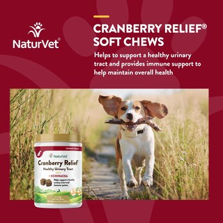 Foto 4 | Suplemento Naturvet Cranberry Relief + Echinacea Para Perros - Venta Internacional.