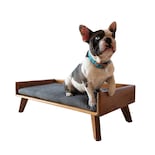 Cama Para Perro Atmos Homeware Fabricada En Madera Con Cojín De Espuma De Poliuretano Tamaño Chico