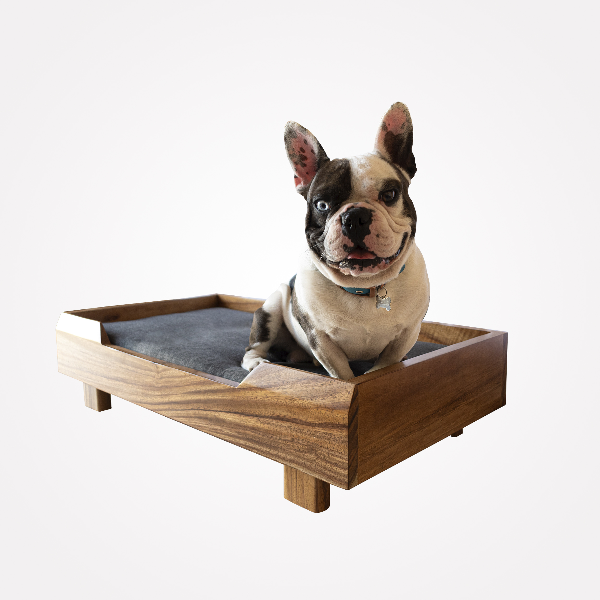 Cama Para Perro  Fabricada En Madera Con Cojín De Espuma De Poliuretano Tamaño Chico