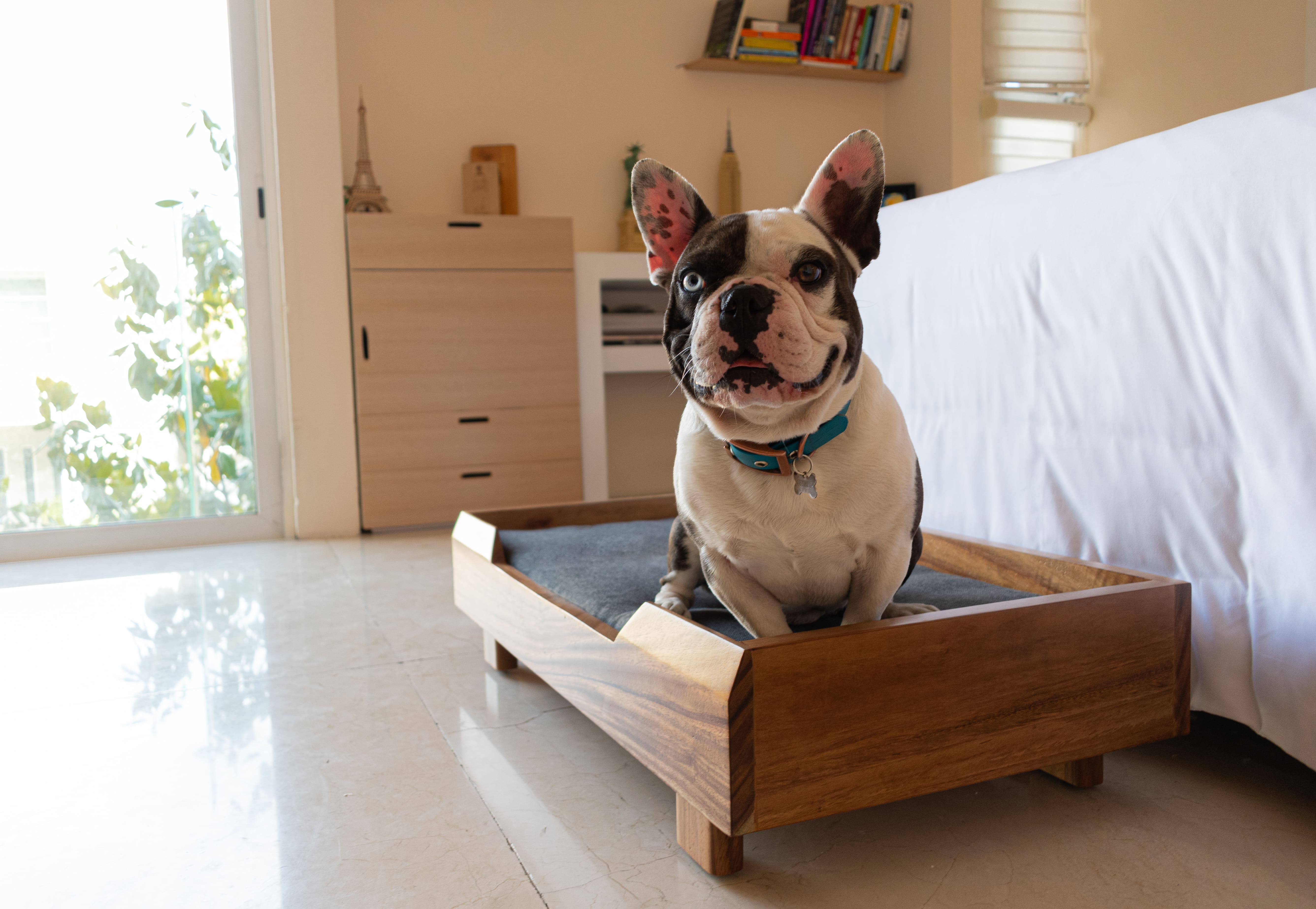 Foto 7 pulgar | Cama Para Perro Fabricada En Madera Con Cojín De Espuma De Poliuretano  Tamaño Mediano
