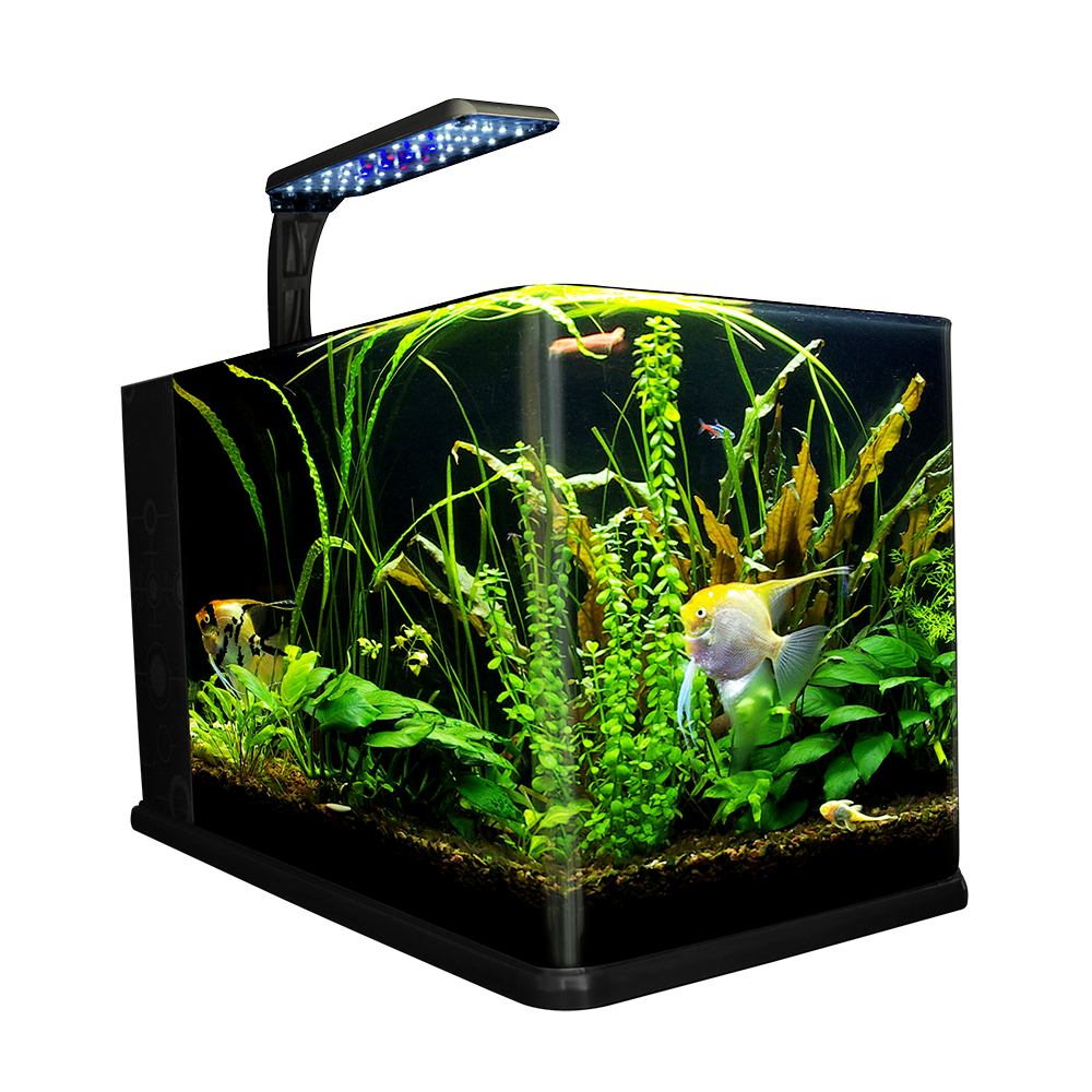 Foto 2 pulgar | Acuario Nano Largo para Peces Lomas con Capacidad de 14 Litros