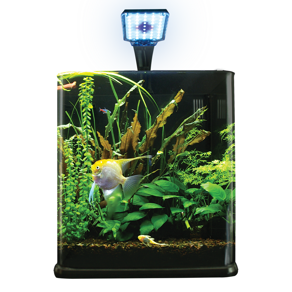 Foto 3 pulgar | Acuario Nano Largo para Peces Lomas con Capacidad de 14 Litros