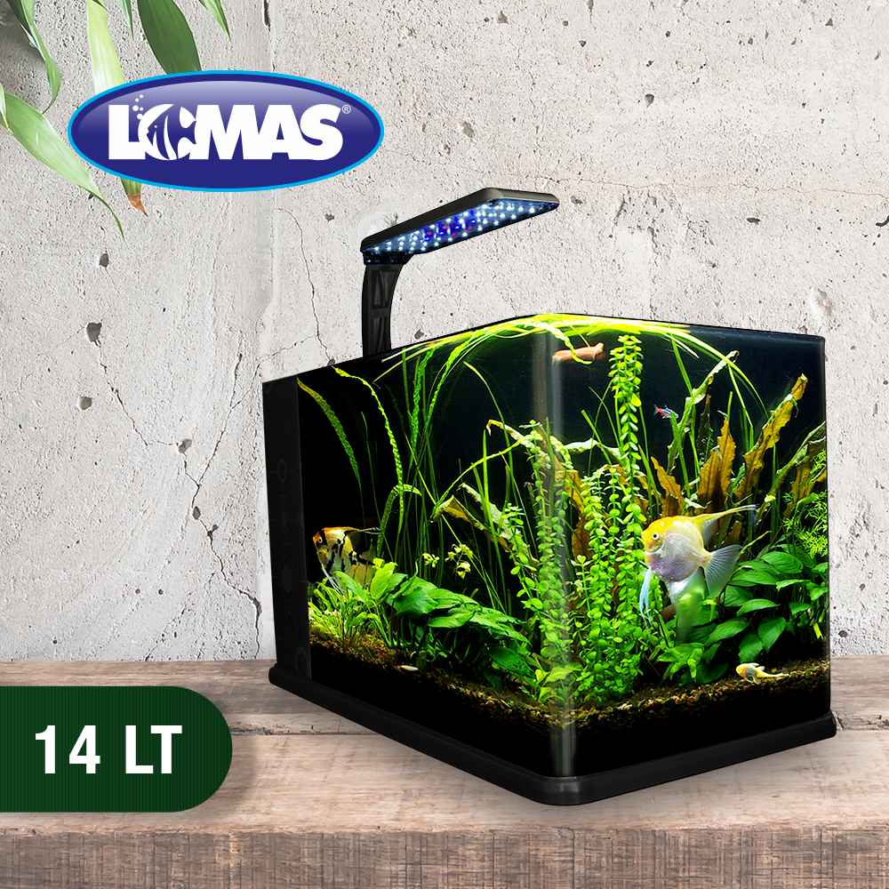 Foto 4 pulgar | Acuario Nano Largo para Peces Lomas con Capacidad de 14 Litros