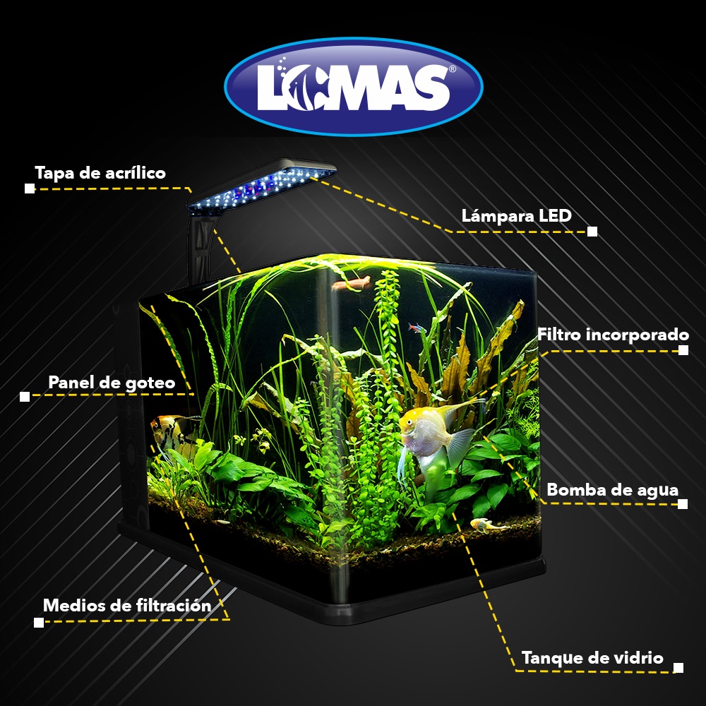 Foto 5 pulgar | Acuario Nano Largo para Peces Lomas con Capacidad de 14 Litros