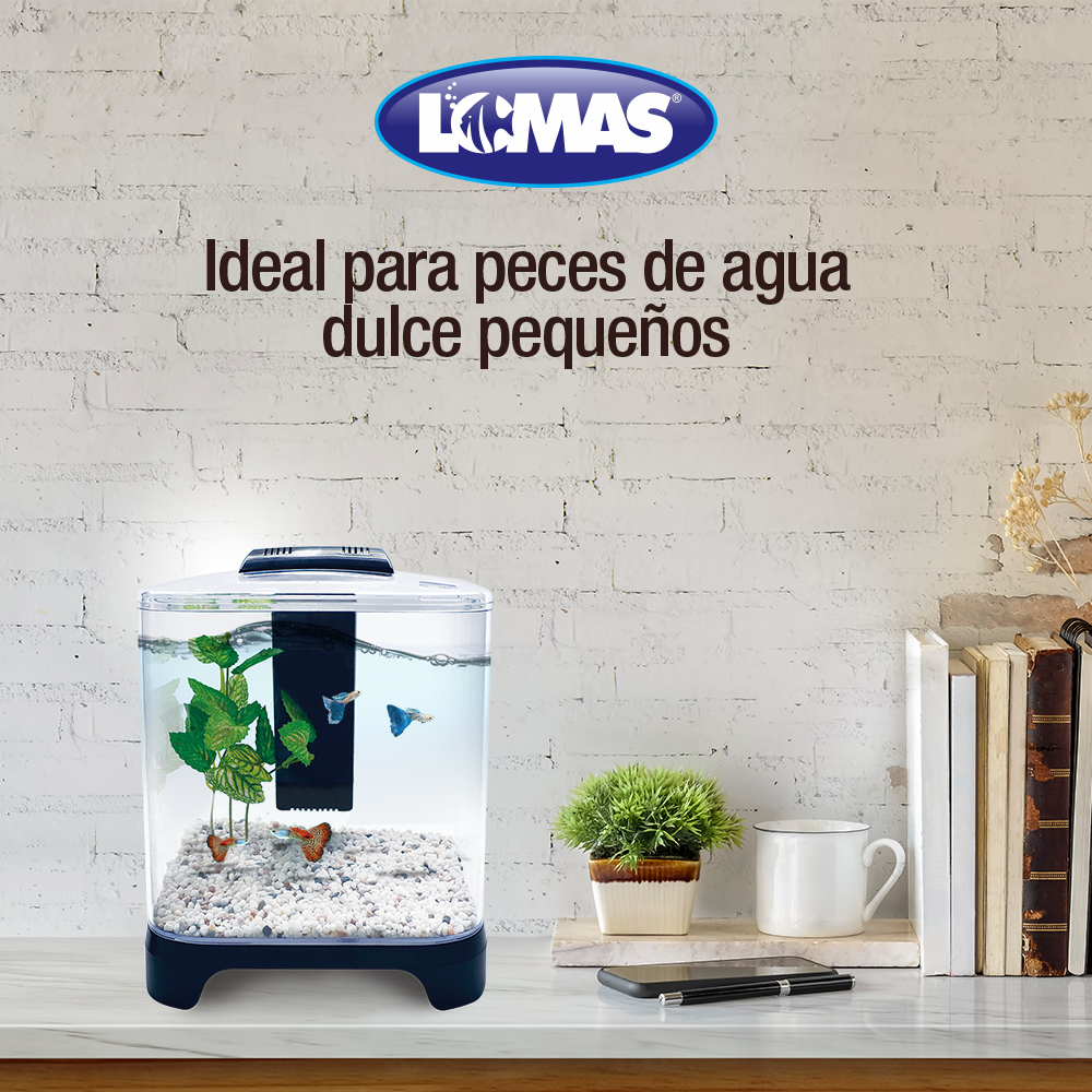Foto 4 pulgar | Acuario Pecera Mini Lomas Transparente de 6 l