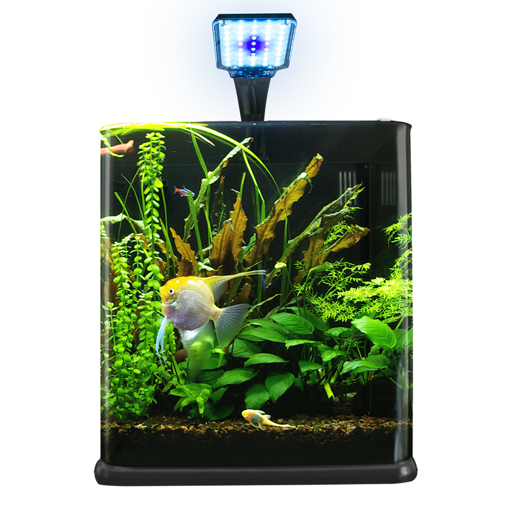 Foto 3 pulgar | Acuario Nano Cubo Lomas Transparente de 18 l