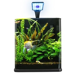 Foto 2 | Acuario Nano Cubo Lomas Transparente de 18 l