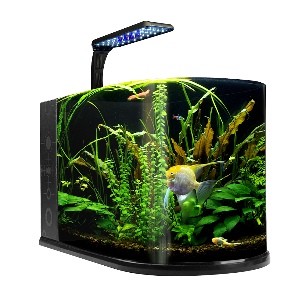 Foto 2 pulgar | Acuario Nano Bullet Lomas Transparente con Capacidad de 12 l