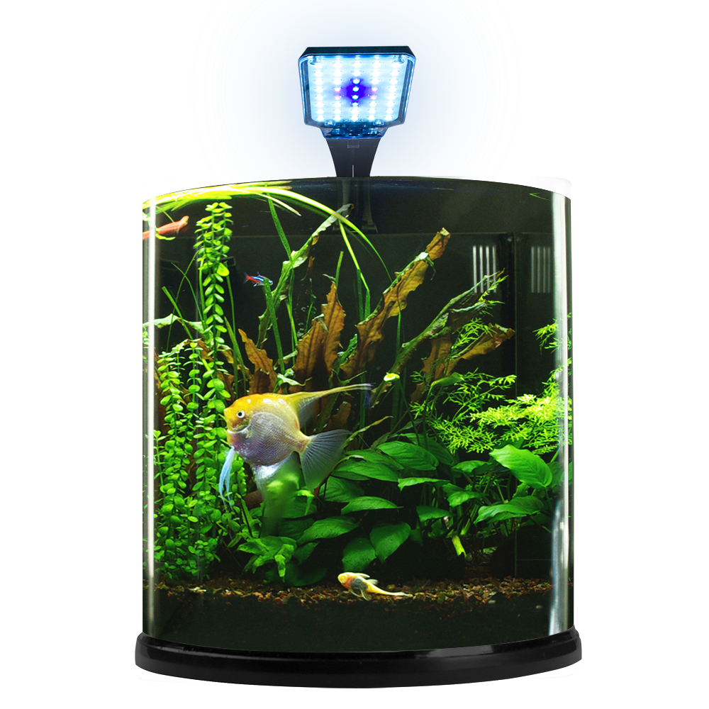 Foto 3 pulgar | Acuario Nano Bullet Lomas Transparente con Capacidad de 12 l