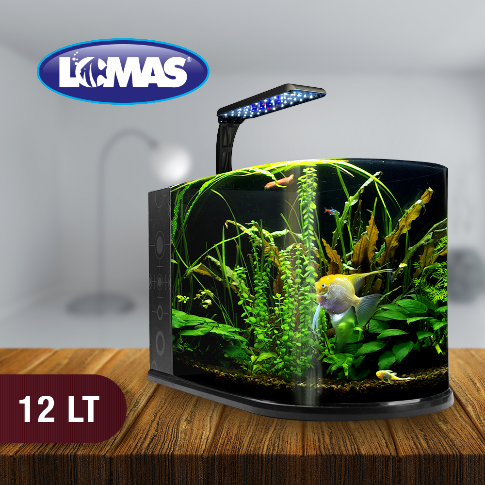 Foto 4 pulgar | Acuario Nano Bullet Lomas Transparente con Capacidad de 12 l