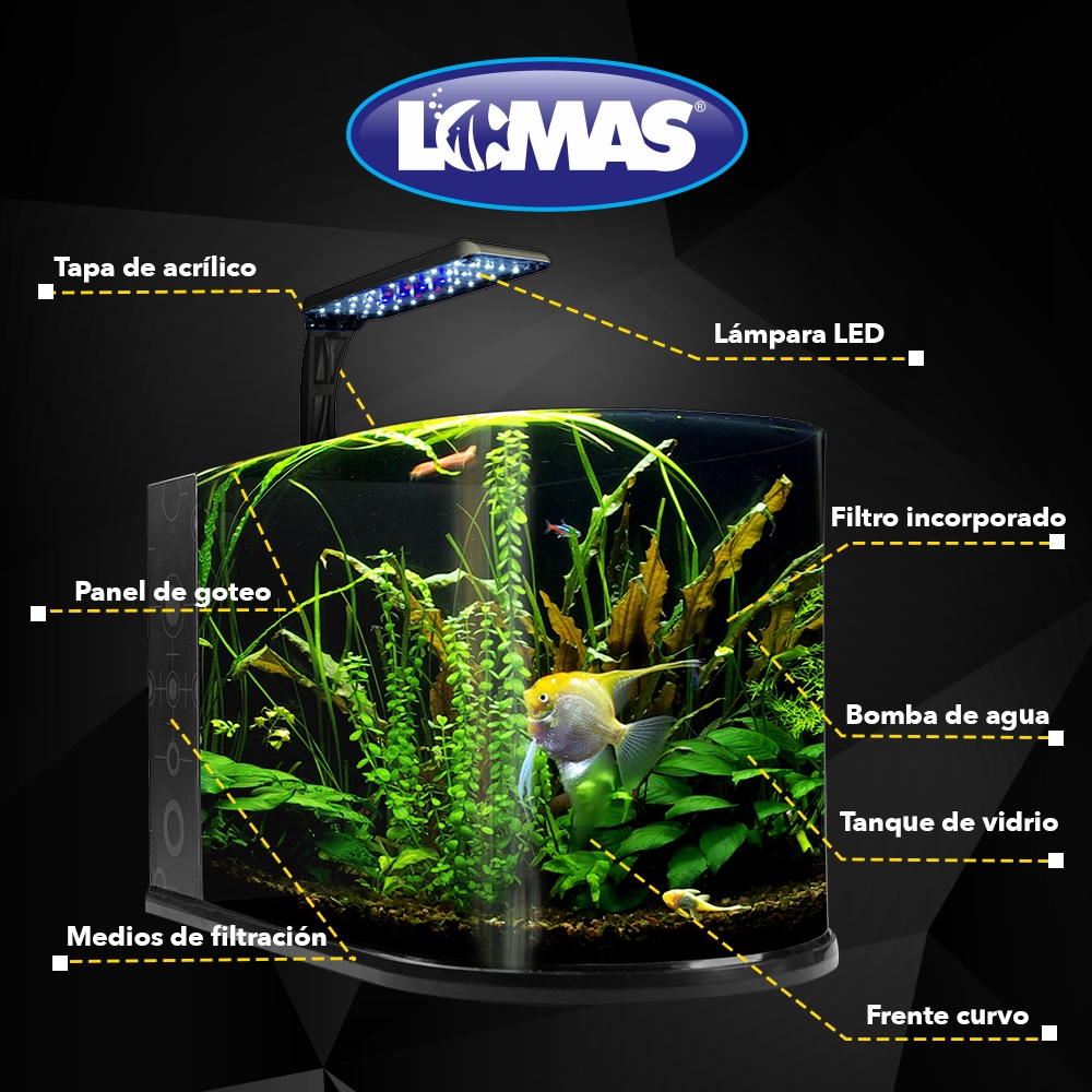 Foto 5 pulgar | Acuario Nano Bullet Lomas Transparente con Capacidad de 12 l