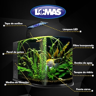 Foto 4 | Acuario Nano Bullet Lomas Transparente con Capacidad de 12 l