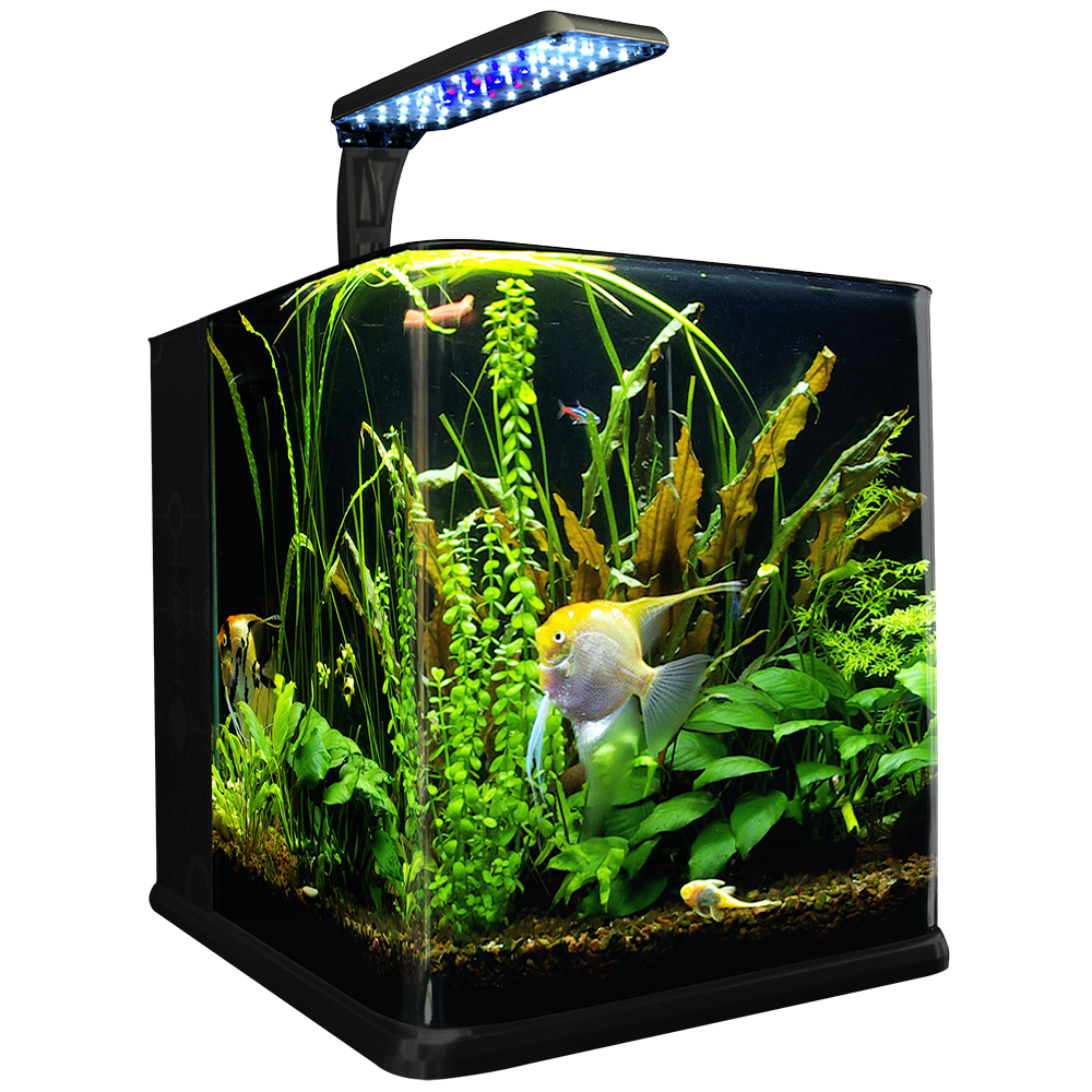 Foto 2 pulgar | Acuario Nano Cubo Lomas Transparente de 9 l