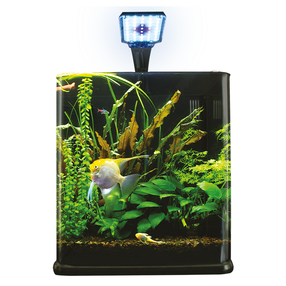 Foto 3 pulgar | Acuario Nano Cubo Lomas Transparente de 9 l