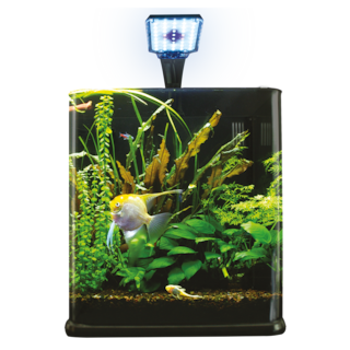 Foto 2 | Acuario Nano Cubo Lomas Transparente de 9 l