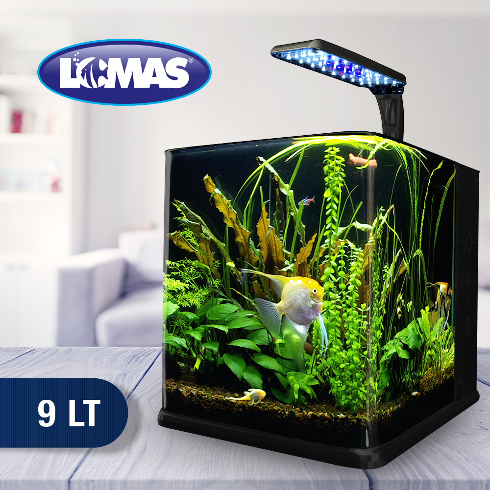 Foto 4 pulgar | Acuario Nano Cubo Lomas Transparente de 9 l