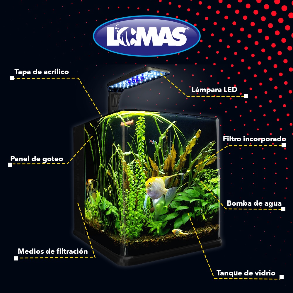 Foto 4 | Acuario Nano Cubo Lomas Transparente de 9 l