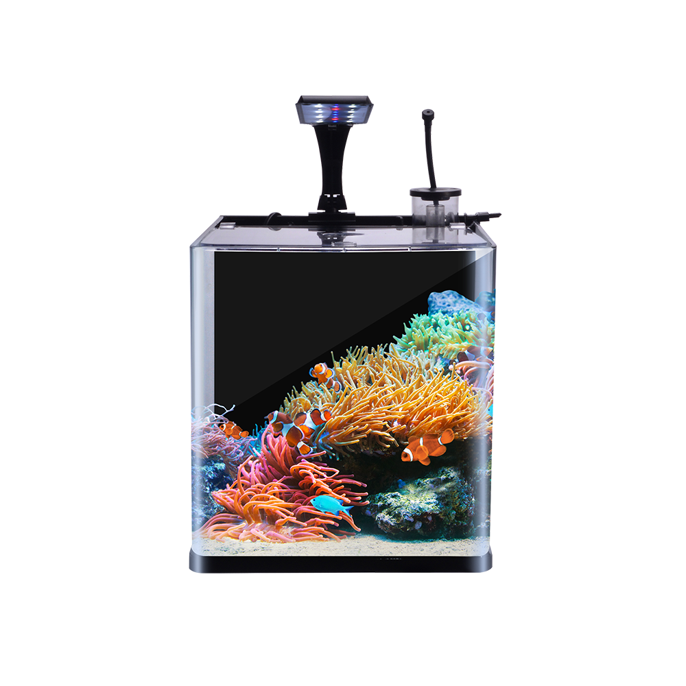 Foto 3 pulgar | Kit Nano Reef Kit Aquajet para Acuario Lomas Transparente de 18 l