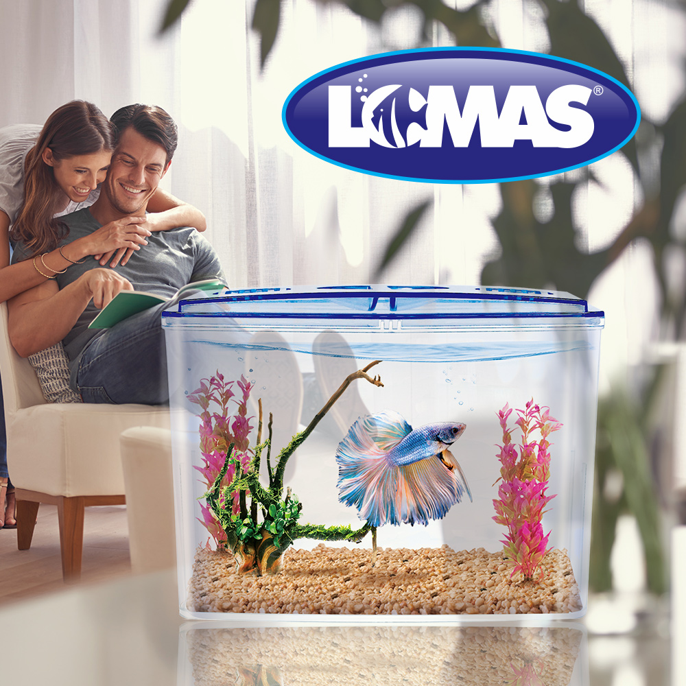 Foto 4 pulgar | Pecera  para Pez Betta Lomas Doble 1.5 l