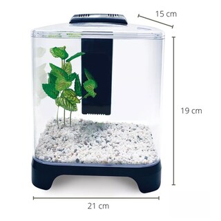 Foto 2 | Acuario Mini 6 Lts Acrilico Filtro Interno Luz Led Eo Safe Imports Esi-14170 Transparente