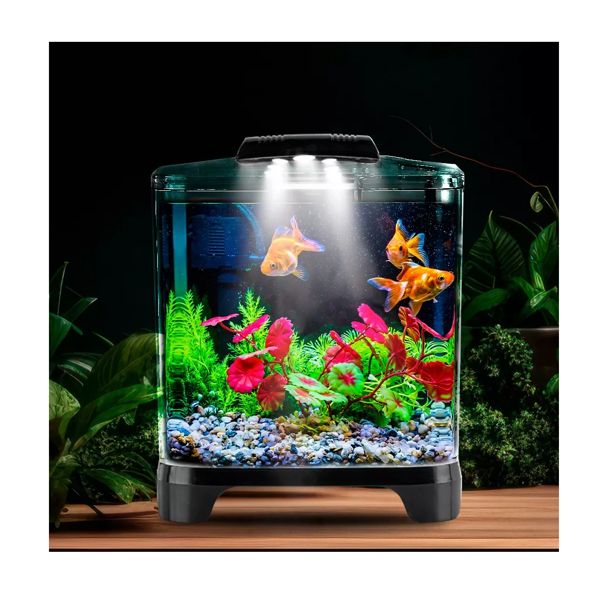 Foto 4 pulgar | Acuario Mini 6 Lts Acrilico Filtro Interno Luz Led Eo Safe Imports Esi-14170 Transparente