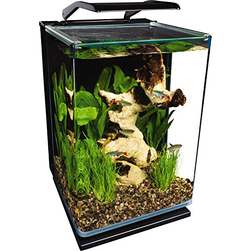 Foto 2 pulgar | Vidrio Led Led Para Retratos Aquarium Marineland, 19 L - Venta Internacional.